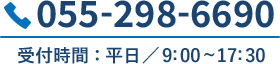055-298-6690