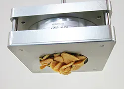 フライドガーリック