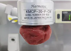 梅干し吸引保持の様子