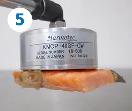 鮭吸引保持の様子