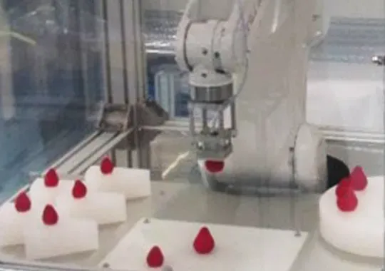 いちご形状選別搬送ユニット