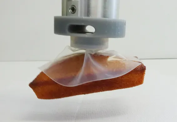 ウェハ搬送以外